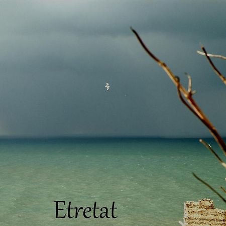 Bretteville-du-Grand Caux Les Hortensias-Chambre Chez L'Habitant מראה חיצוני תמונה