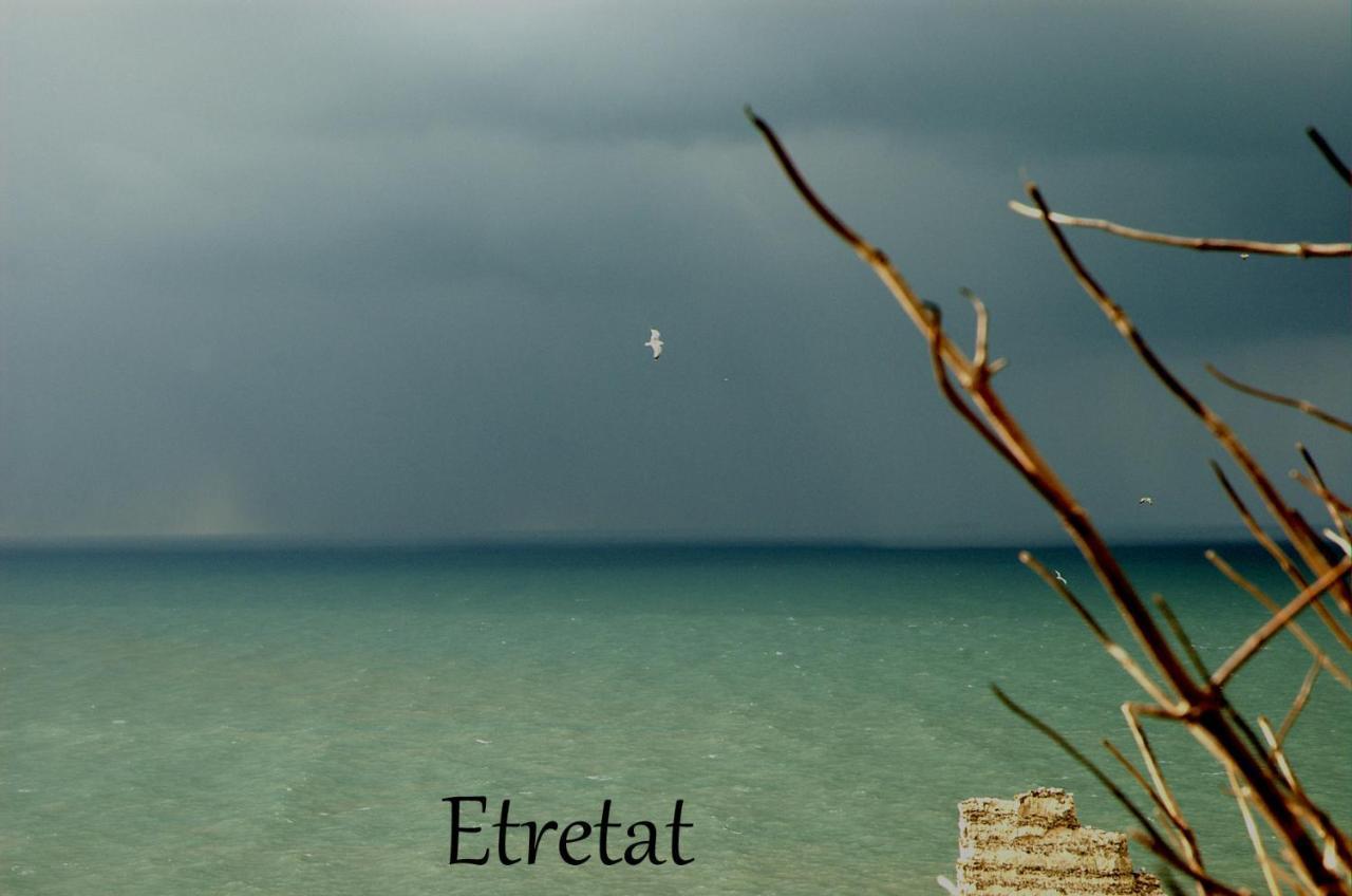 Bretteville-du-Grand Caux Les Hortensias-Chambre Chez L'Habitant מראה חיצוני תמונה